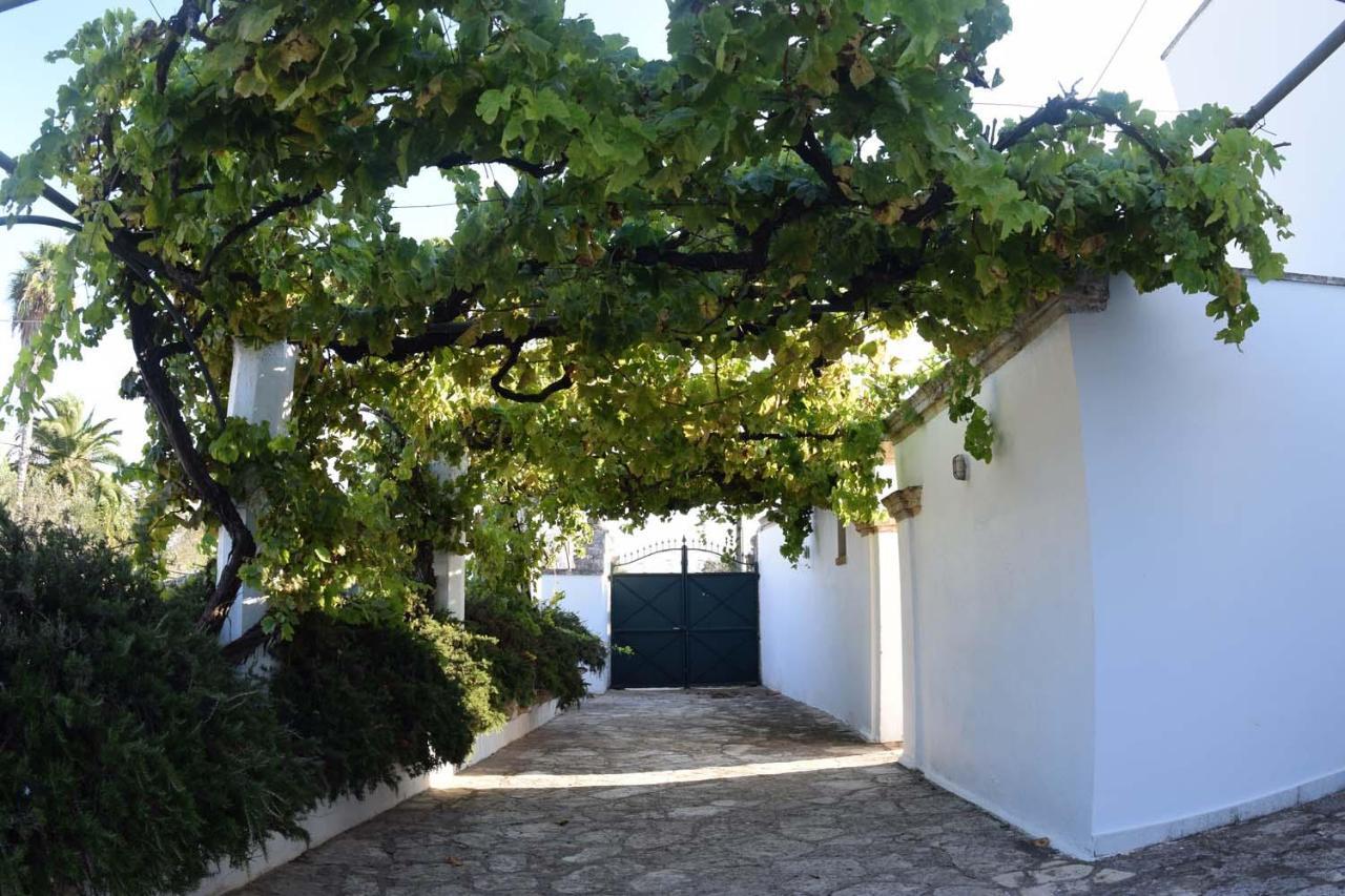 La Giara House ,Near Gallipoli Alezio Buitenkant foto