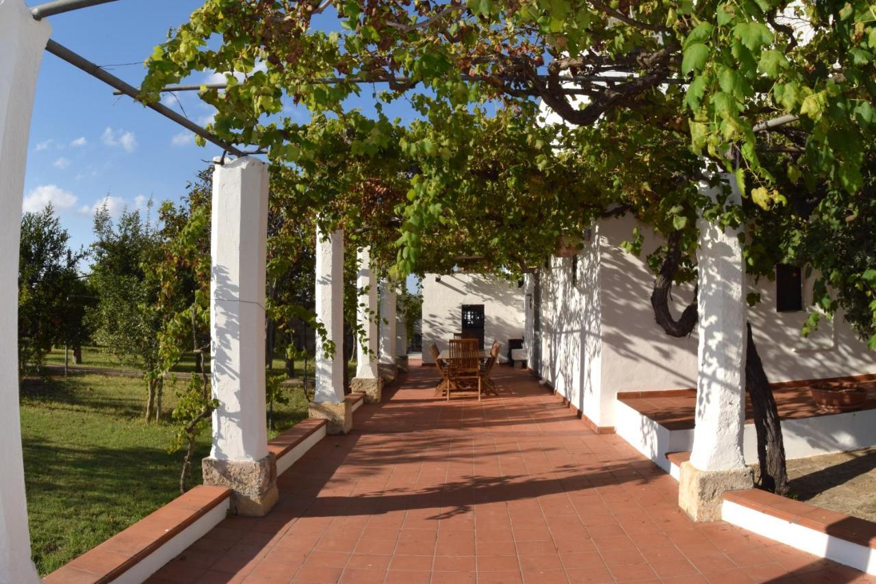 La Giara House ,Near Gallipoli Alezio Buitenkant foto